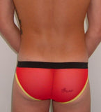 Men's See-Thru Low Rise Brief : C2F16