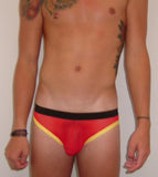 Men's See-Thru Low Rise Brief : C2F16